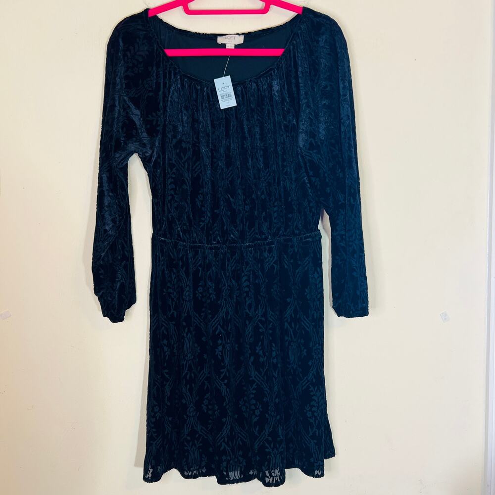 Loft Outlet Velvet Burnout Dress Sz Medium Petite Black Floral Goth Witchcore